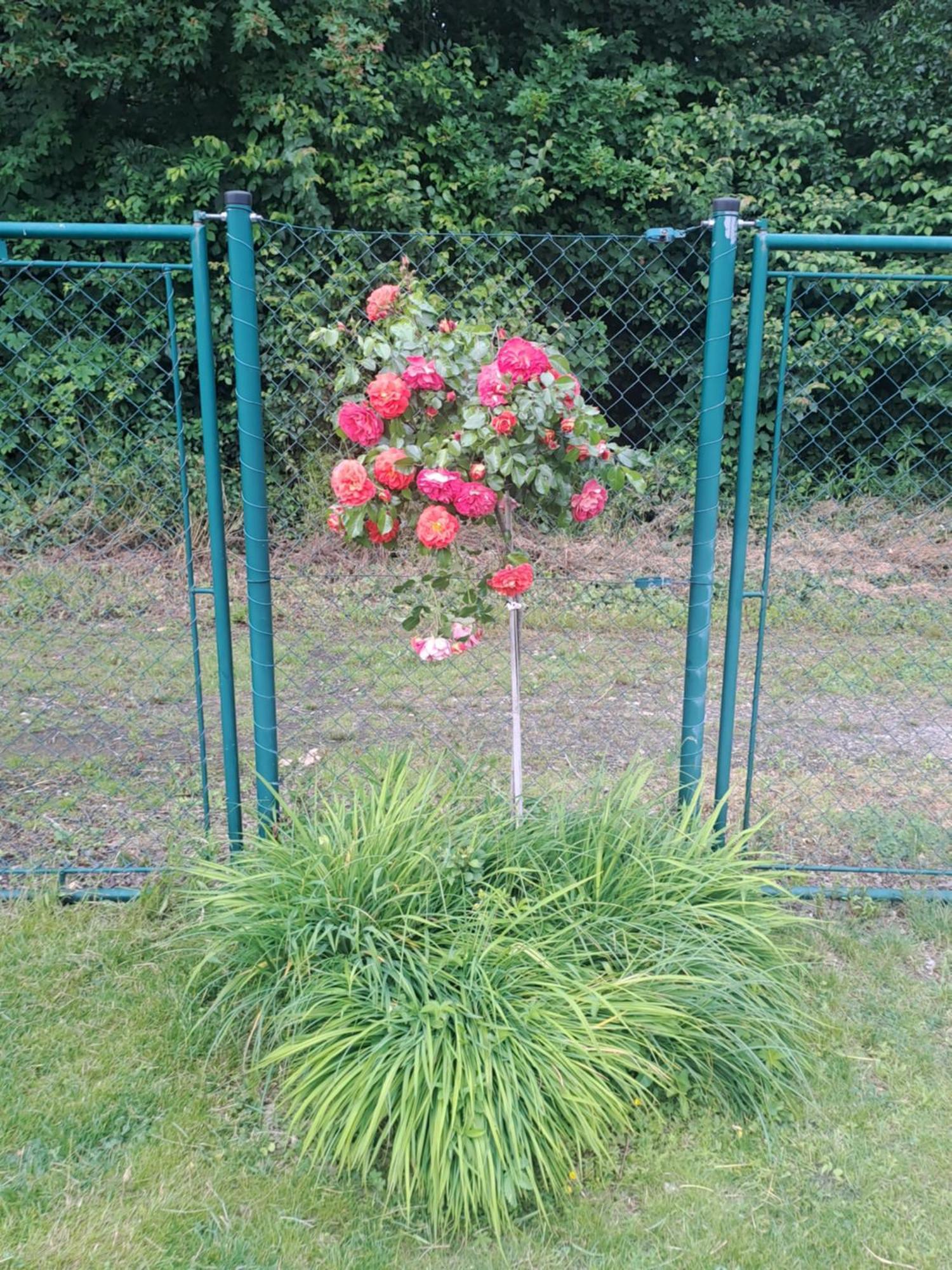 U Zámečku Сasa de vacaciones